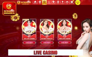 live casino